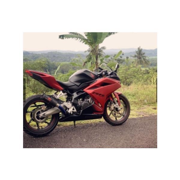 フルエキゾーストマフラー ステンレス サイレンサーカーボン調 R25 MT25 CBR250R CBR250RR Ninja 250 FI