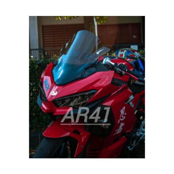KAWASAKI NINJA250 F1 new 2018 バイザー スクリーン ショート ロング ウィンドシールド ウインドシールド