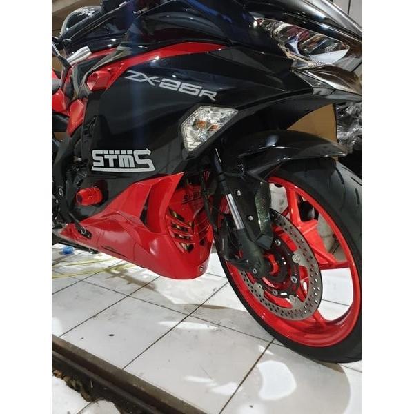 KAWASAKI ZX25R カスタムパーツ ラジエターカバー&Vカバー フロントカウル 2点セット