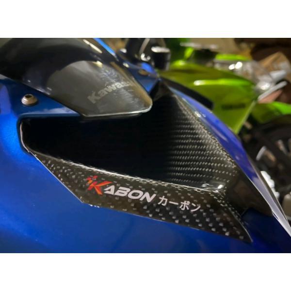KAWASAKI ZX-25R カスタム ウェットカーボン フロント エアダクトカバー ZX-6モデル