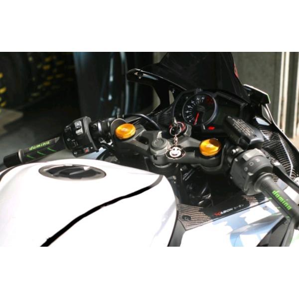 KAWASAKI ZX25R NINJA ウェットカーボン ダッシュボードカバー メーターパネルカバー