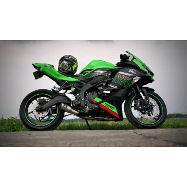 KAWASAKI ZX25R NINJA ショートマフラー シルバー フルシステムマフラー フルエキゾーストマフラー PnP