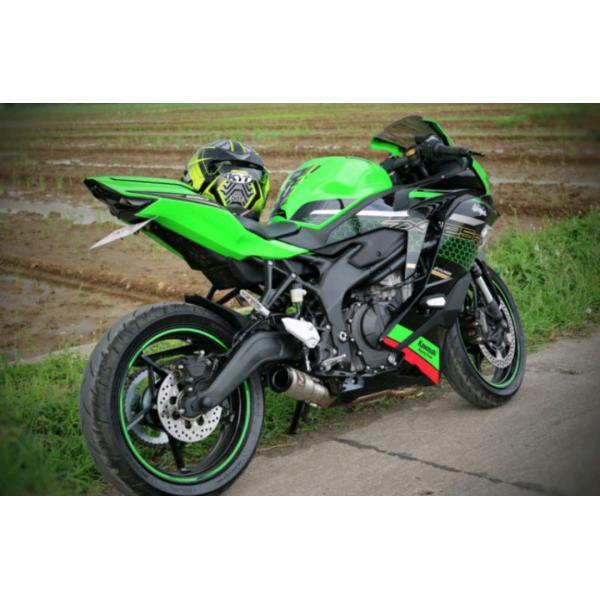 KAWASAKI ZX25R NINJA ショートマフラー シルバー フルシステムマフラー フルエキゾーストマフラー PnP