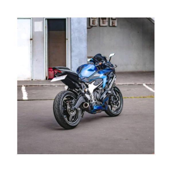 KAWASAKI ZX25R NINJA DX ショートマフラー カーボン アンダーマフラー フルシステムマフラー フルエキゾーストマフラー PnP