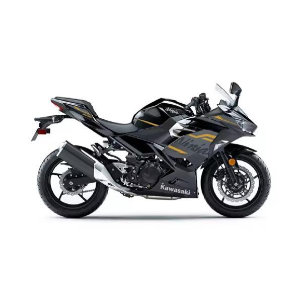 カワサキ Ninja250/400（2018年～）用 デカール ストライプステッカー 全10色