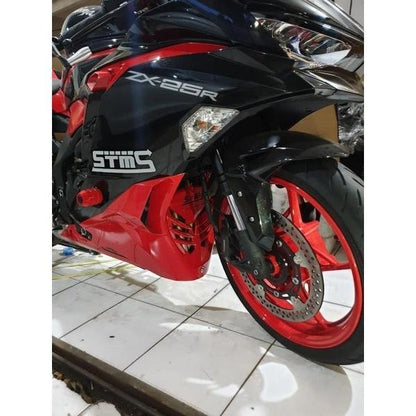 KAWASAKI ZX25R カスタムパーツ ラジエターカバー＆Vカバー フロントカウル 2点セット
