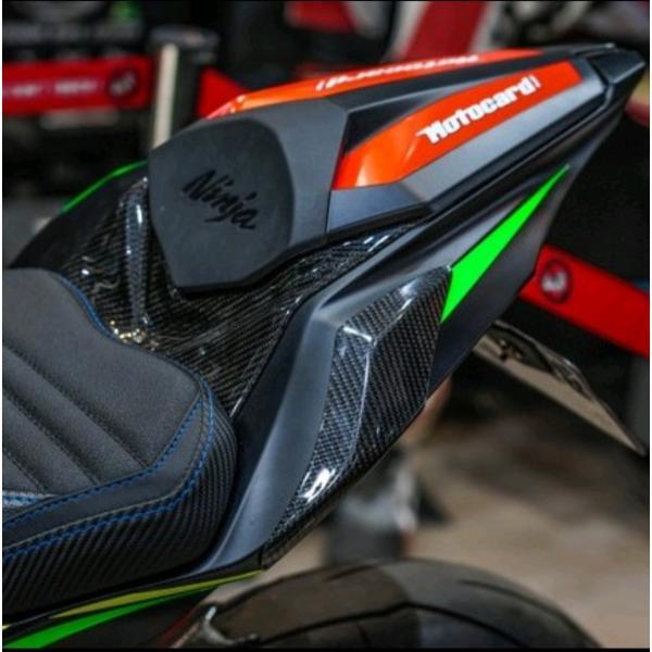 KAWASAKI ZX25R カスタム ウェットカーボン　リアサイドカバー ボディガード プロテクト 左右セット