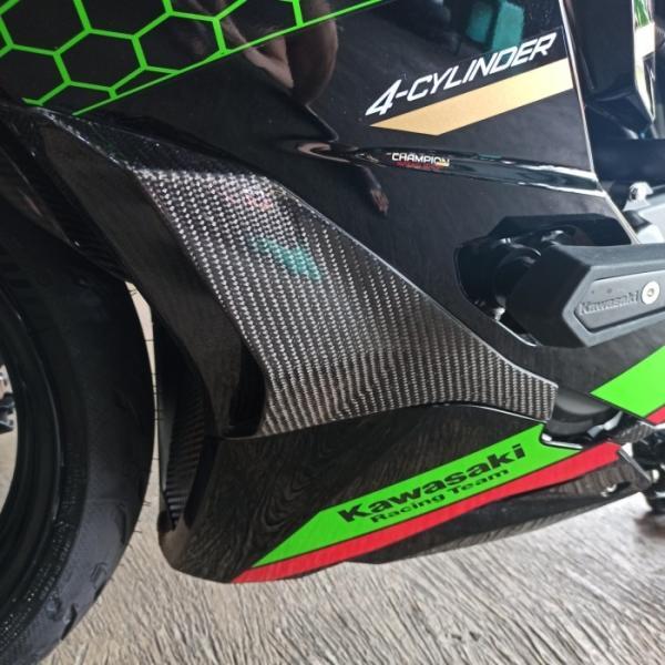 KAWASAKI ZX25R カスタム ウェットカーボン フロントサイドカバー エアダクト エアスクープ ボディガード プロテクト 左右セット