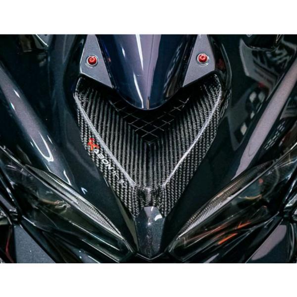 KAWASAKI ZX-25R カスタム ウェットカーボン フロント エアダクトカバー ZX-6モデル