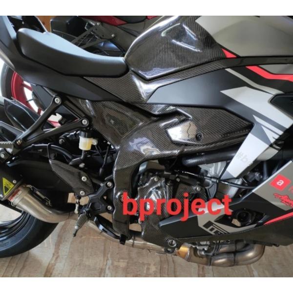 KAWASAKI ZX25R NINJA ウェットカーボン フレームカバー ボディカバー